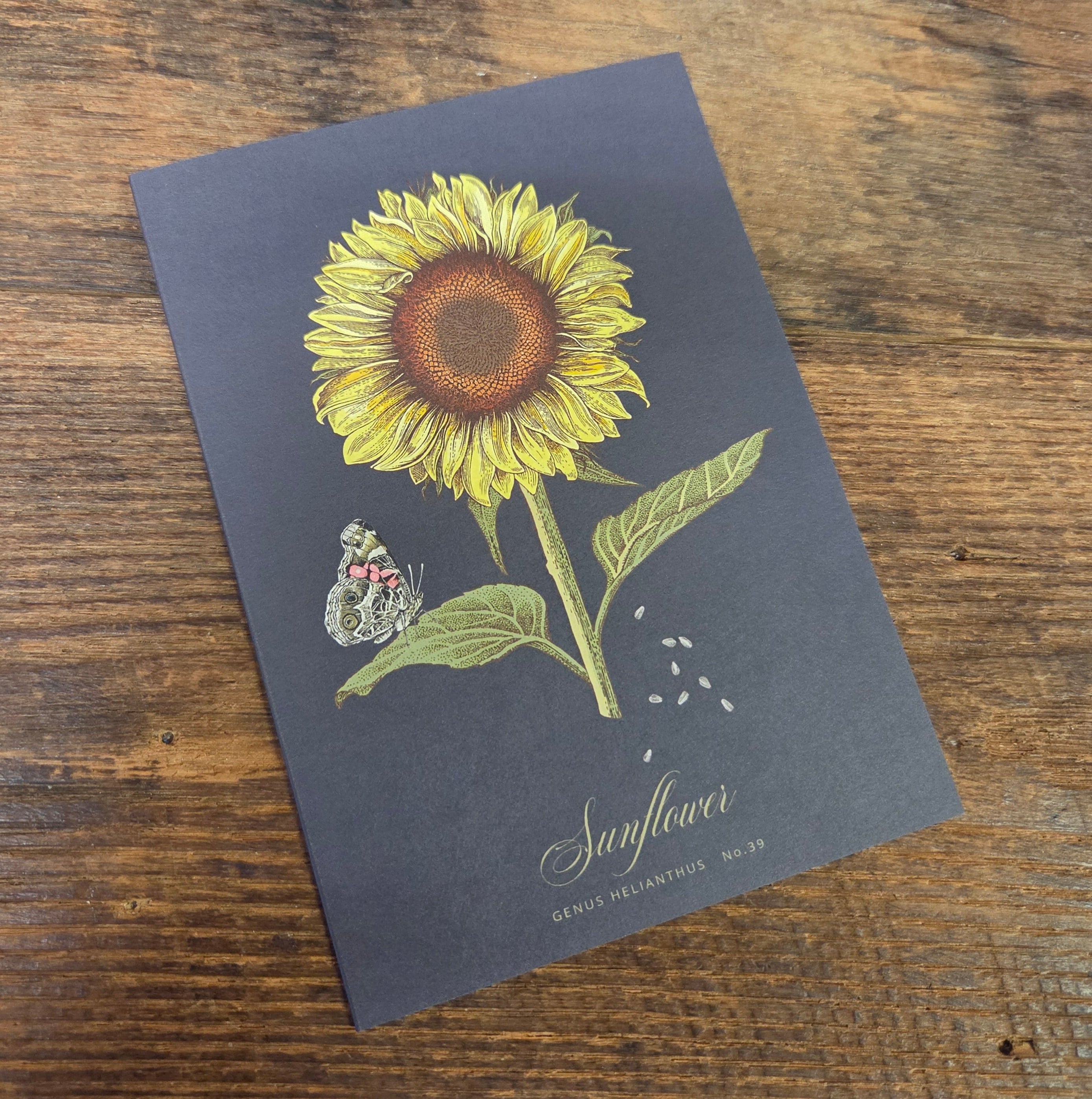 Greeting Card - Sunflower