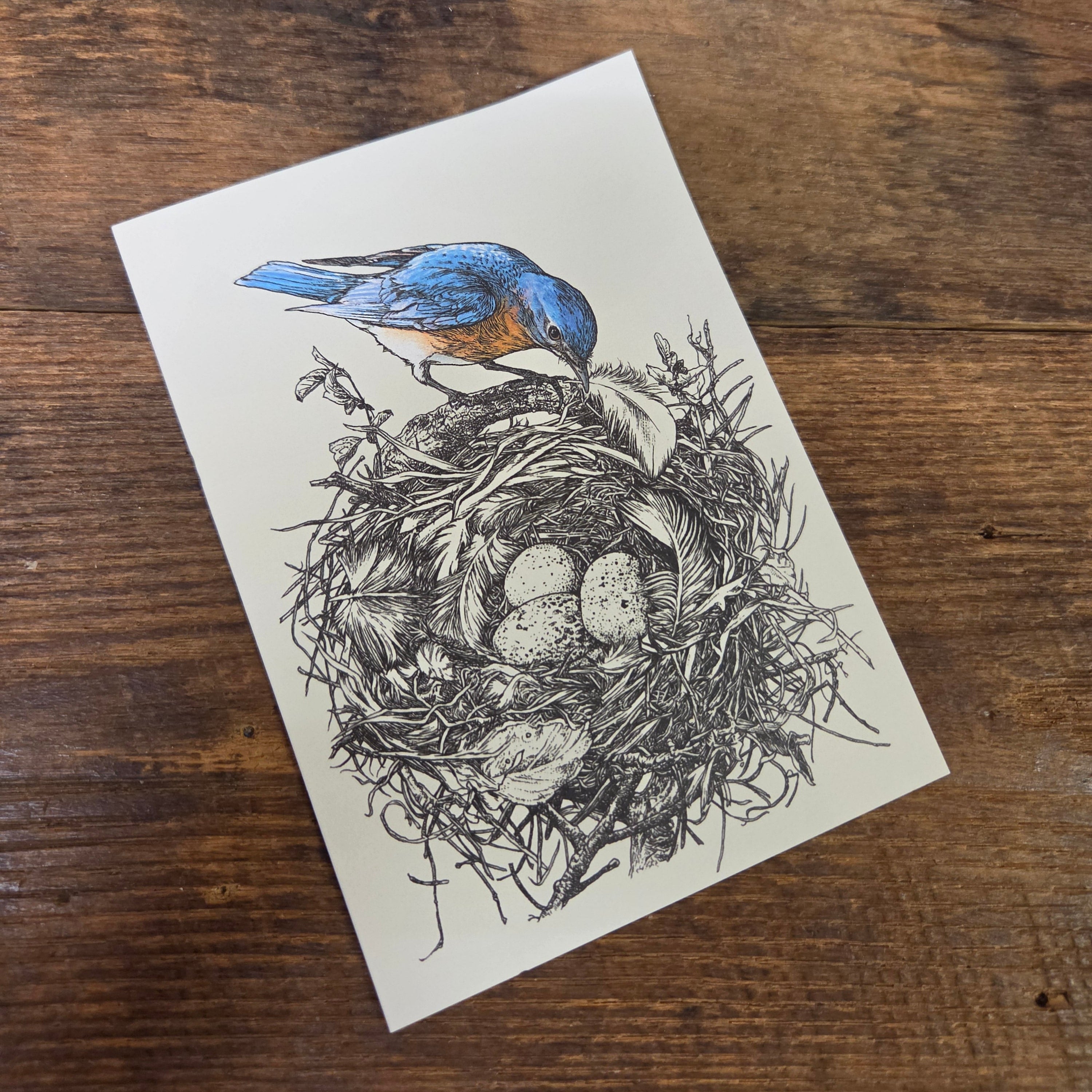 Greeting Card - Bird