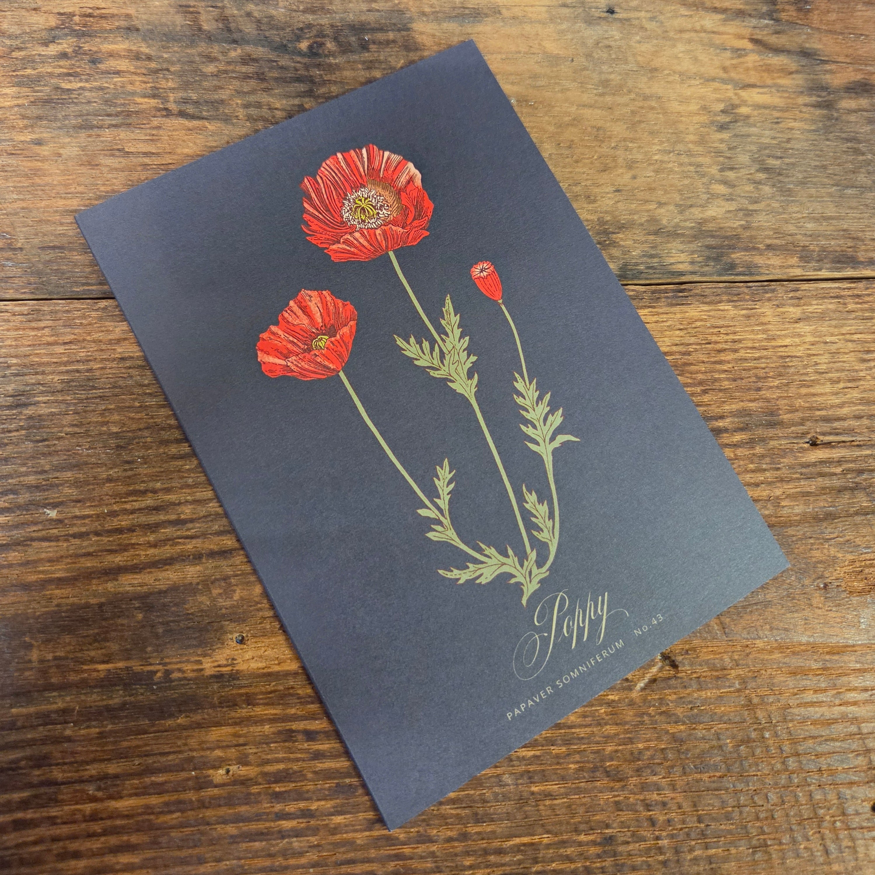 Greeting Card - Poppy